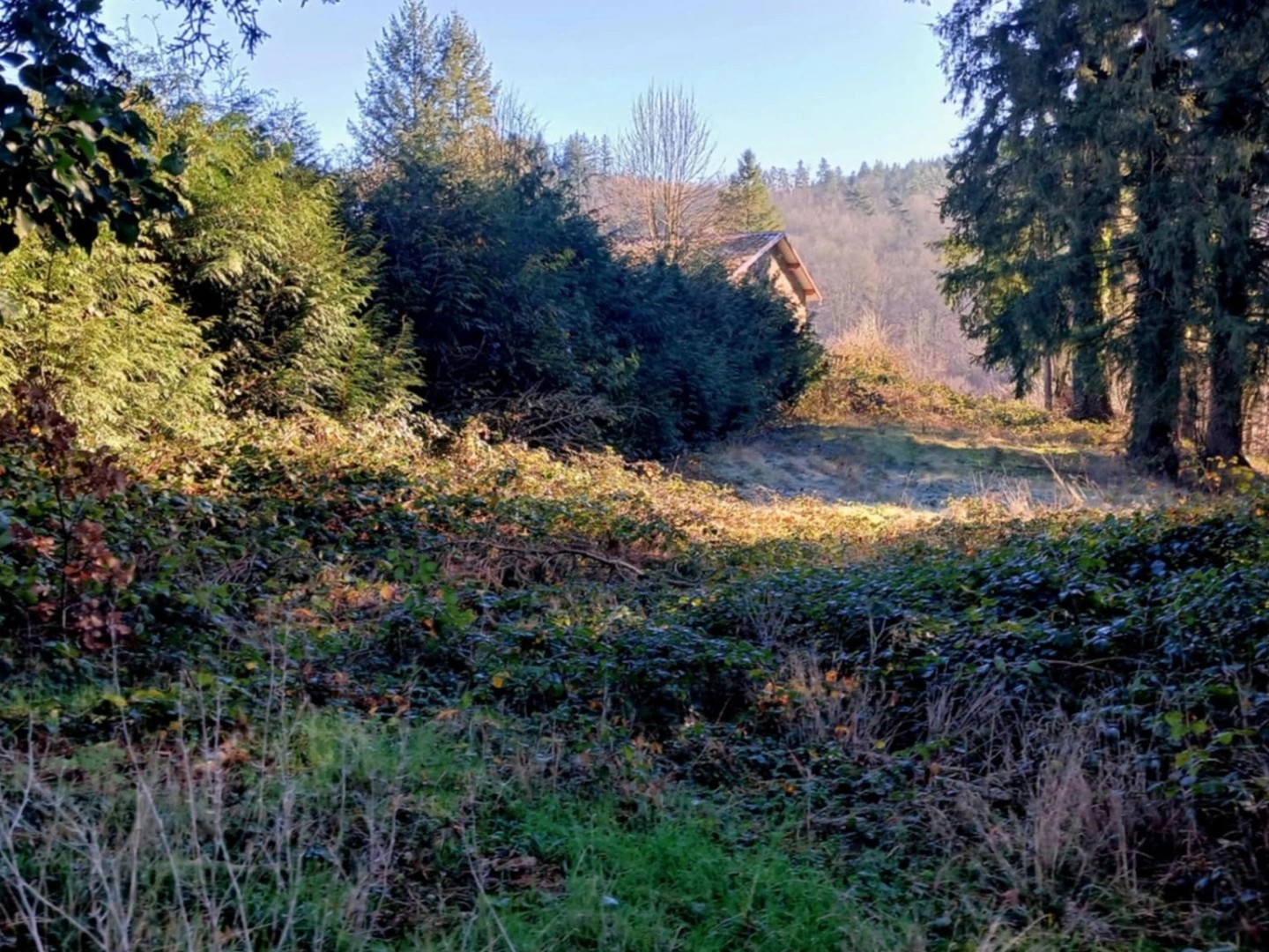 Terrain 3574 m²