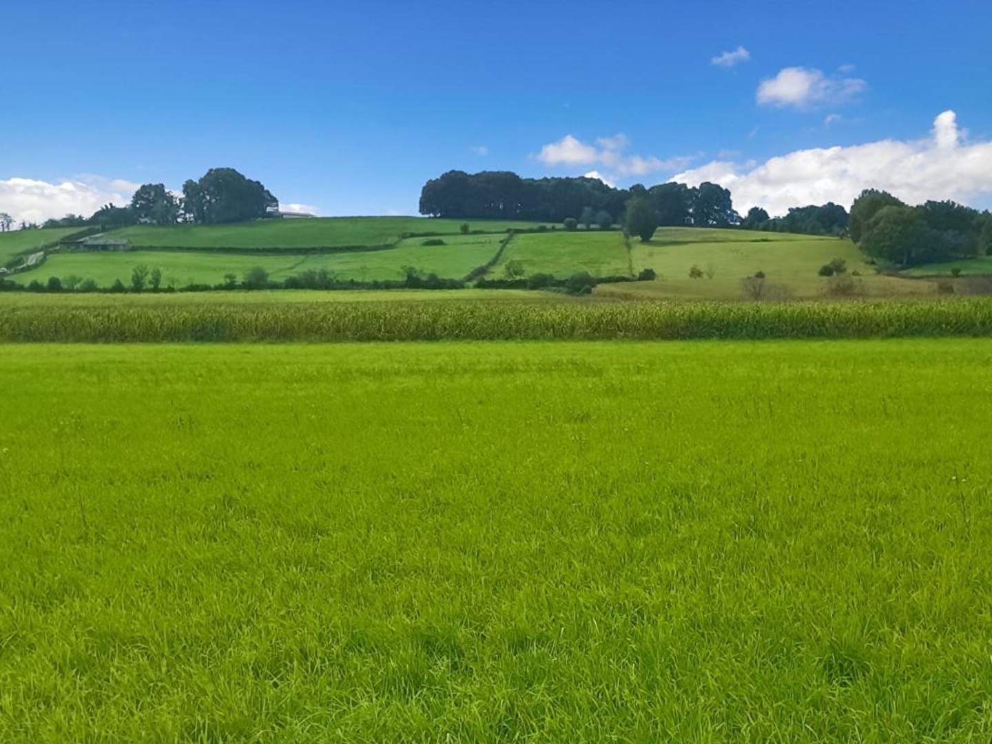 Terrain constructible 11000 m2