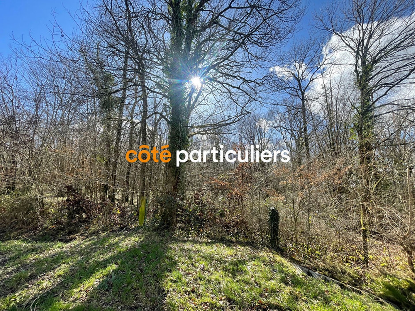 Parcelle boisée de 2h2 située entre St AMAND & LIGNIERES