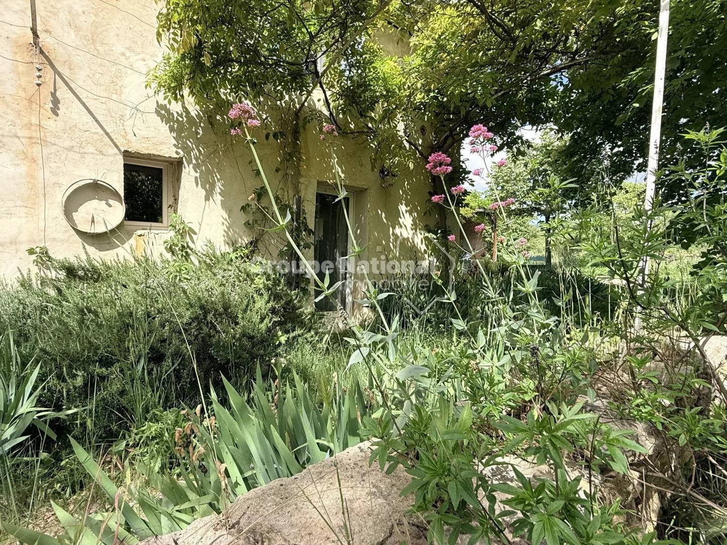 BEDOIN MAS 220 M² HABITABLE SUR 1 HECTARE DE TERRAIN