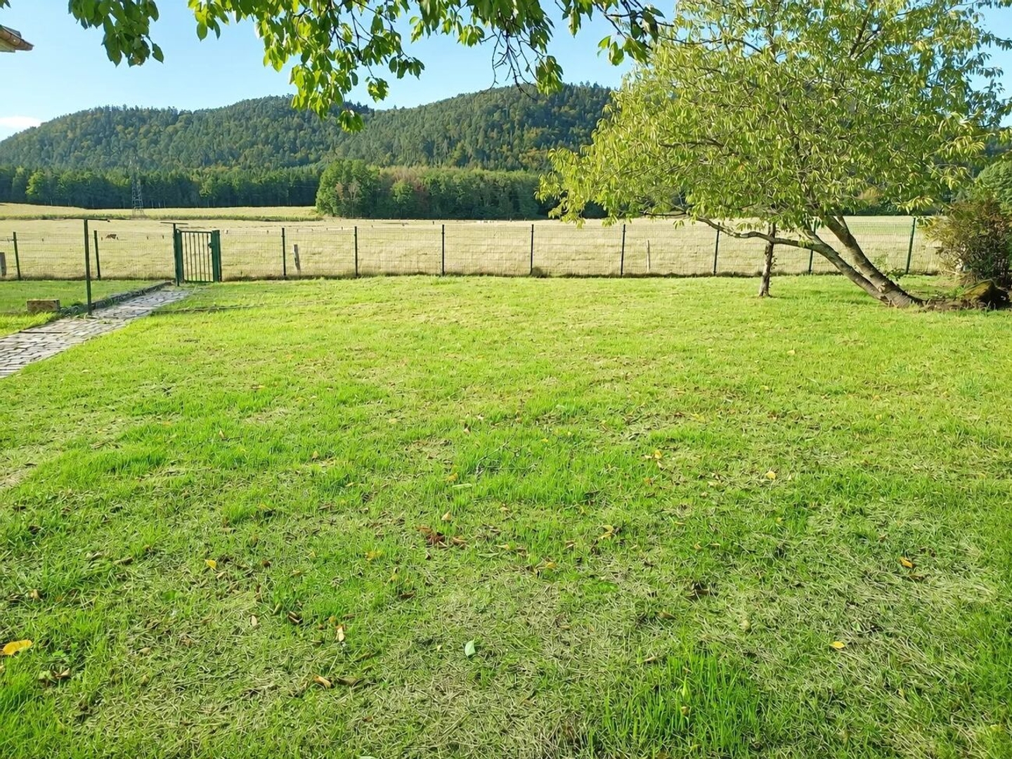 Maison à vendre - 6 pièces - 947m2 - Étival-Clairefont... (88480)