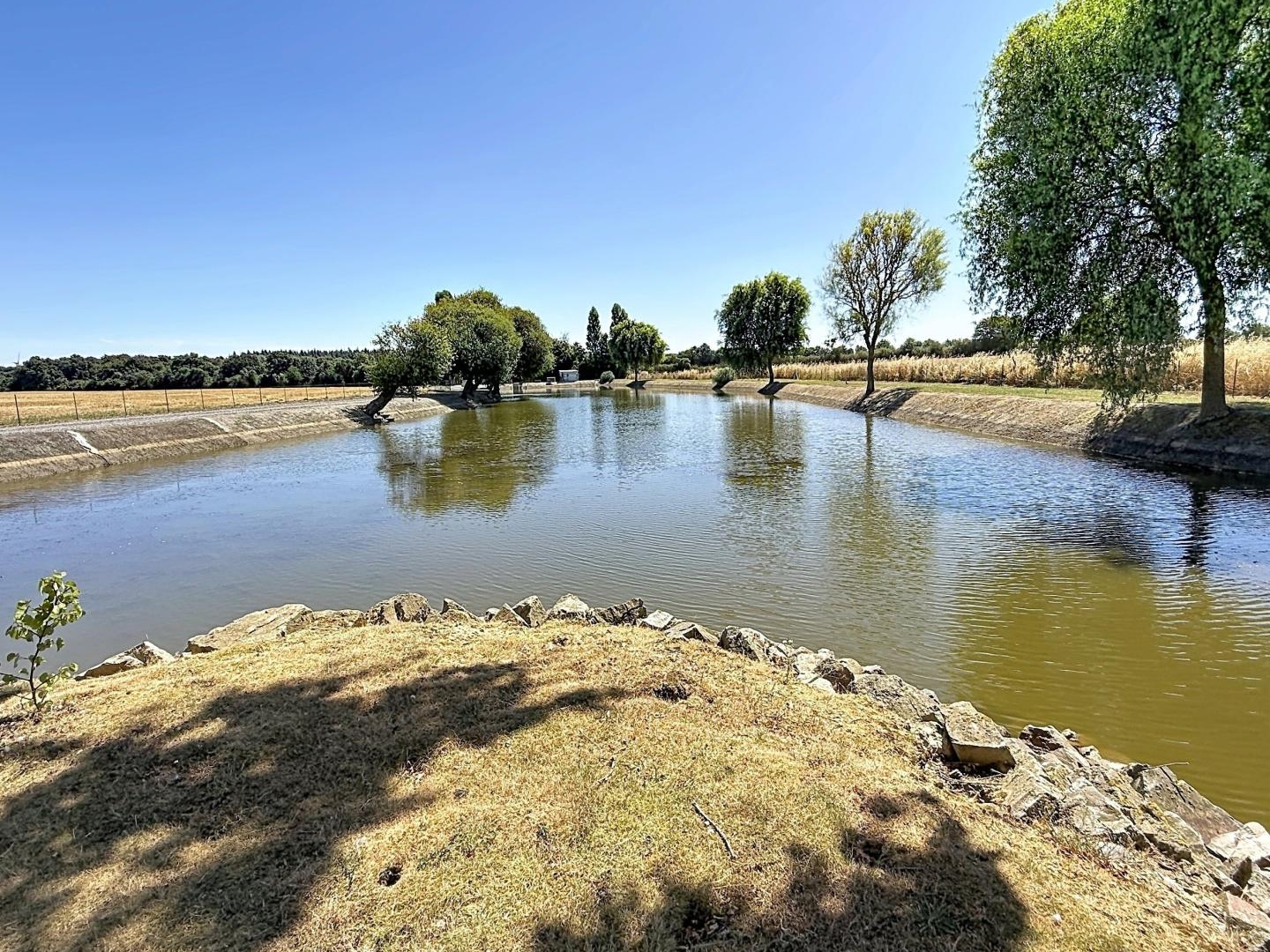 Terrain à vendre - 16000m2 - Châteaubriant (44110)