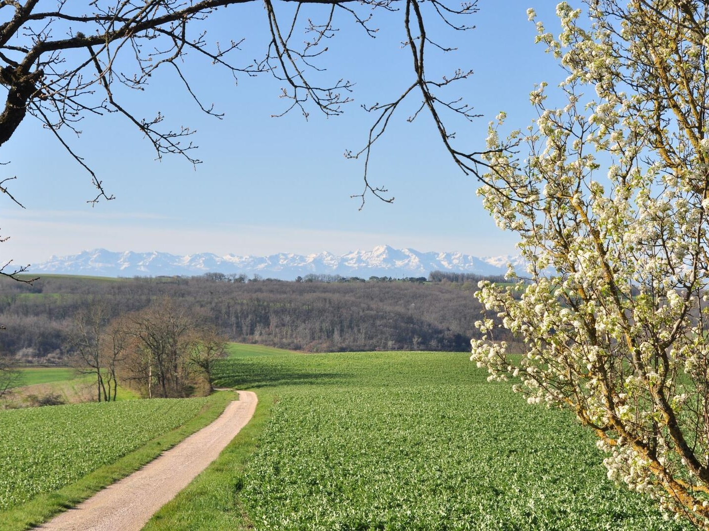 Maison à vendre - 10 pièces - 394m2 - Barran (32350)
