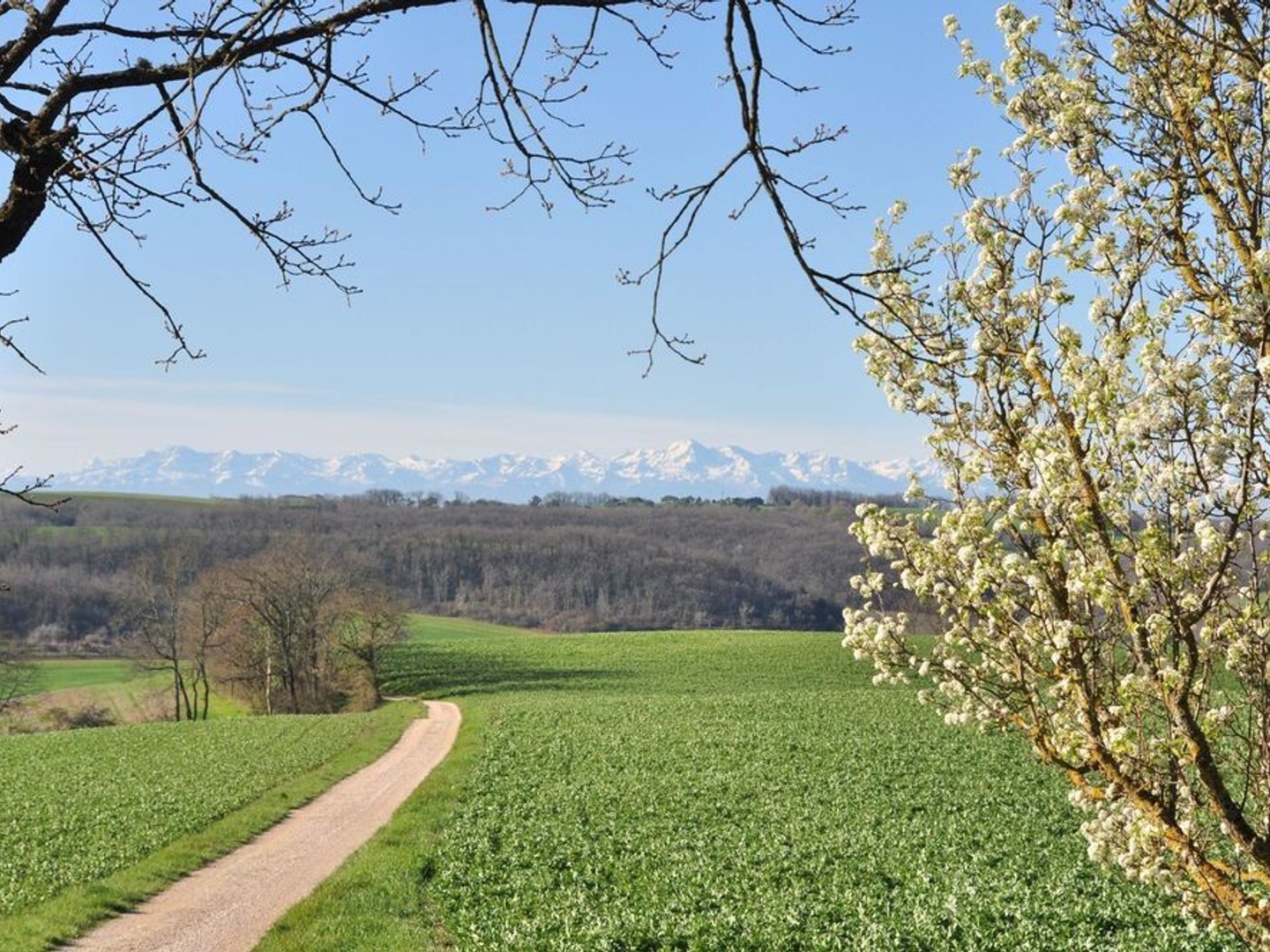 Maison à vendre - 10 pièces - 394m2 - Barran (32350)