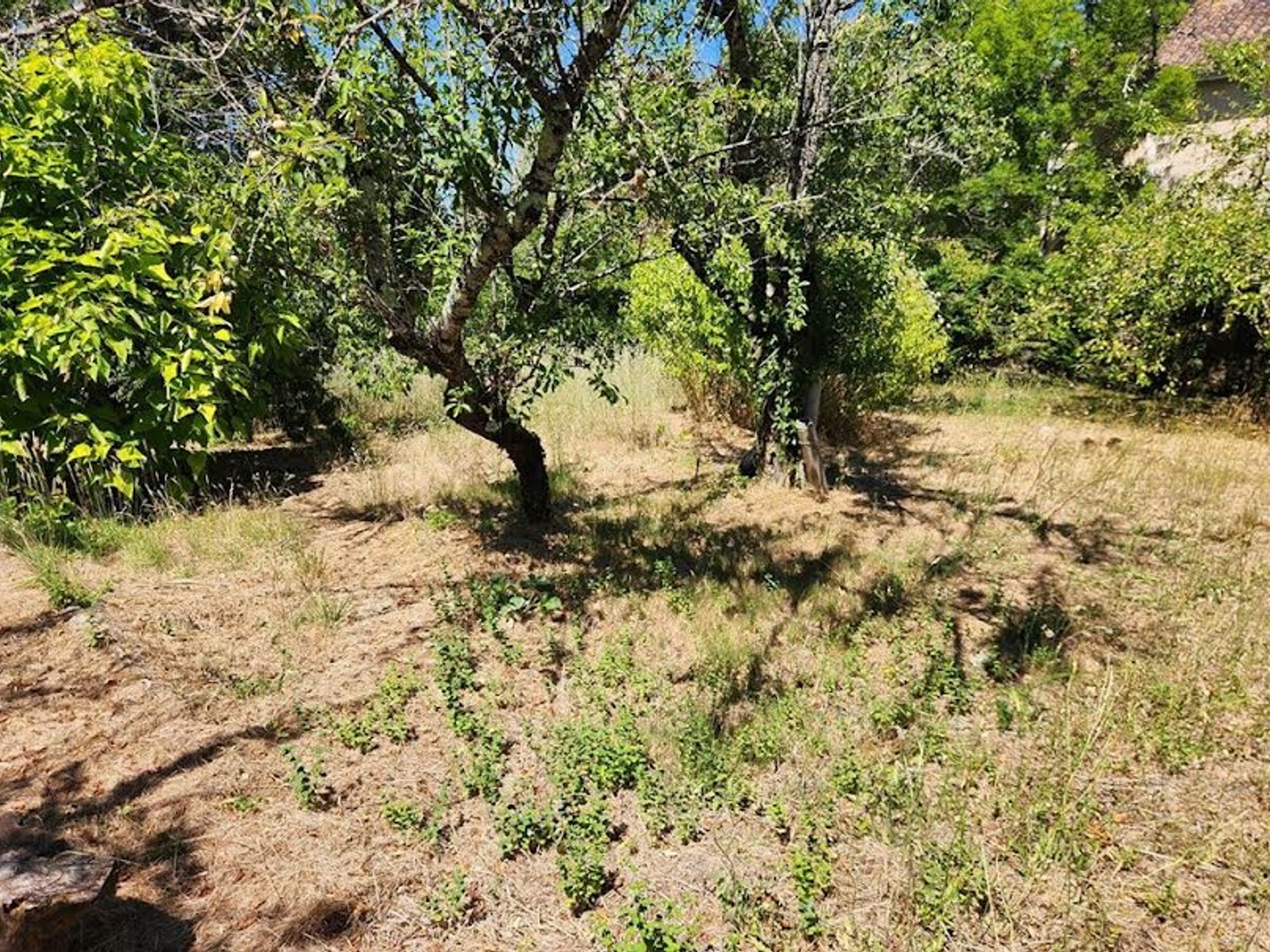Maison à vendre - 4 pièces - 94m2 - Sourzac (24400)