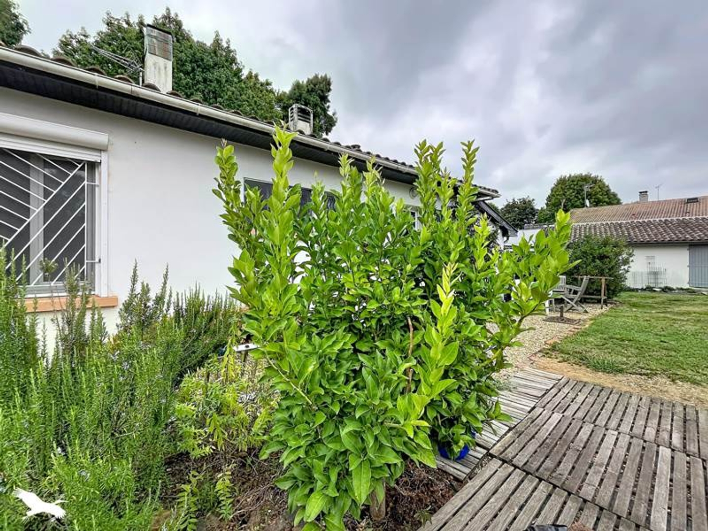 Maison à vendre - 4 pièces - 70m2 - Soustons (40140)