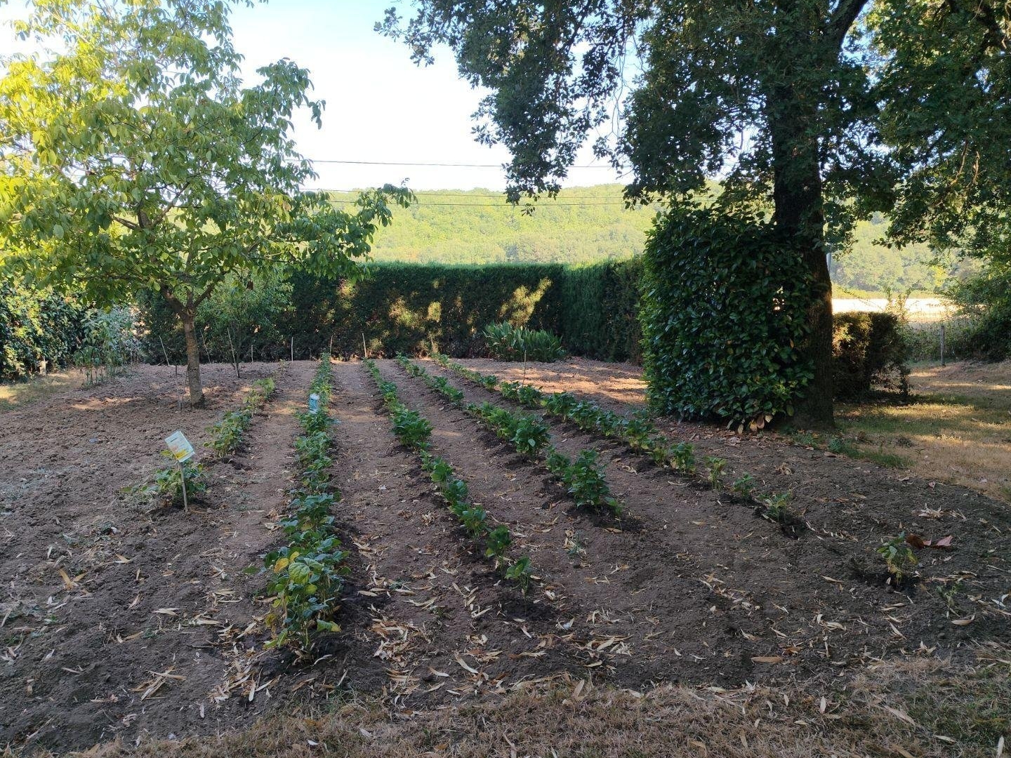 Terrain de loisirs 472 m²