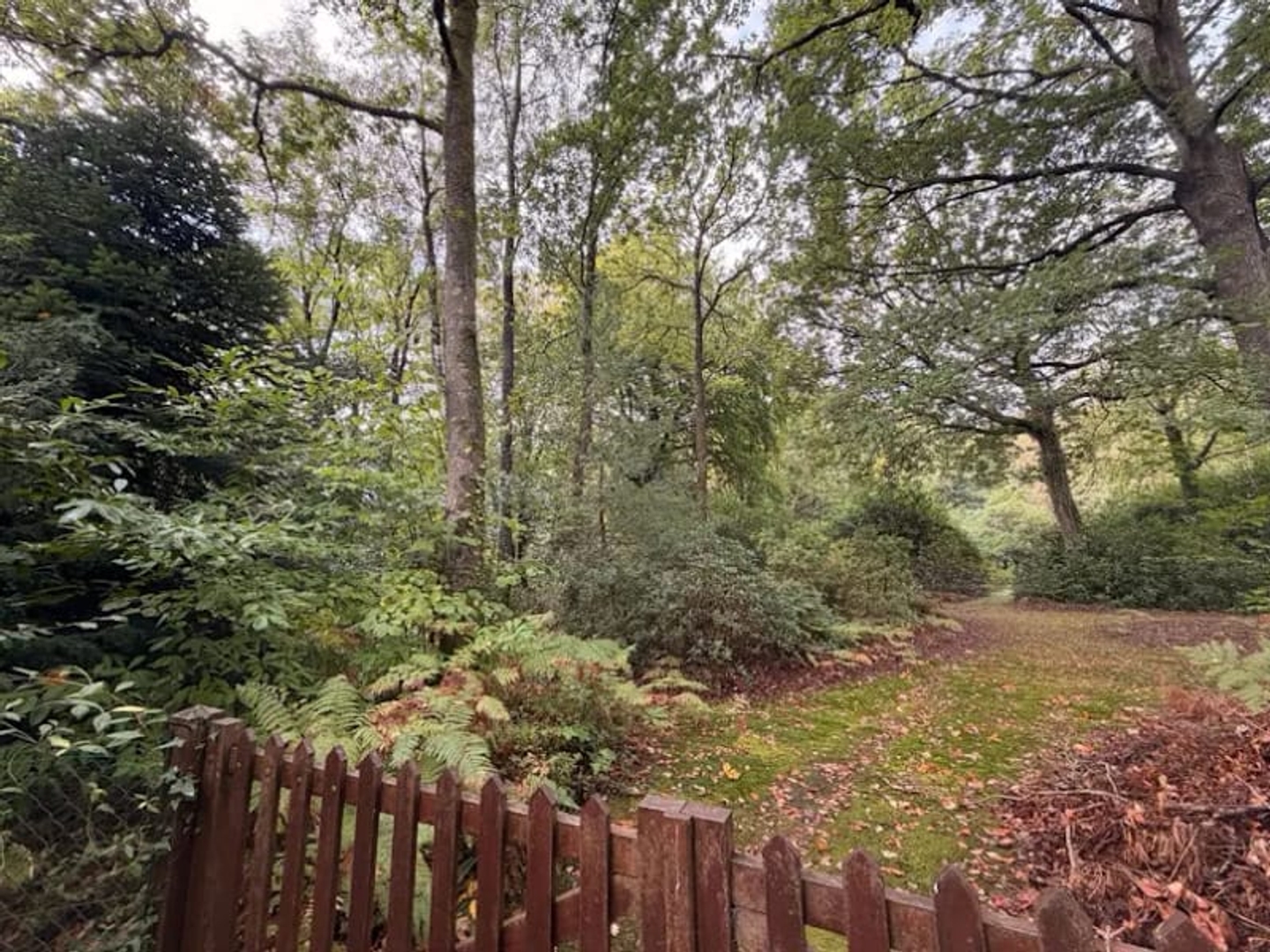 Terrain à vendre - 3811m2 - Saint-Gatien-Des-... (14130)