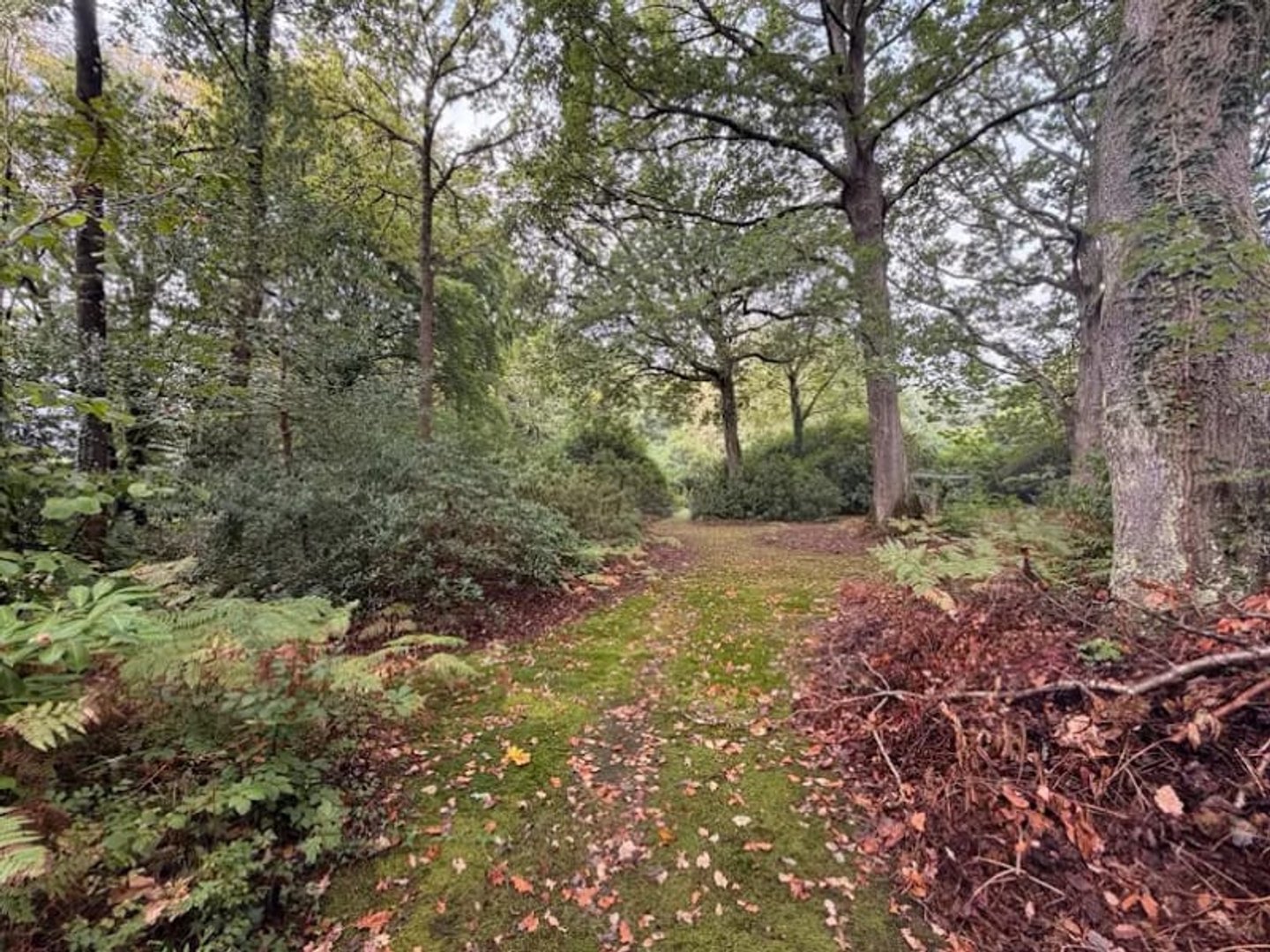 Terrain à vendre - 3811m2 - Saint-Gatien-Des-... (14130)