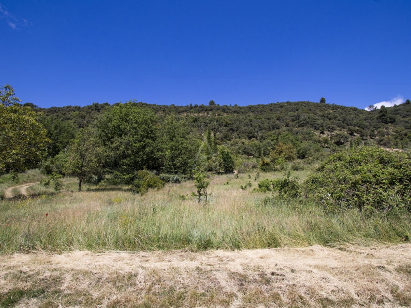 Terrain à vendre - 925m2 - Allemagne-En-Prov... (04500)
