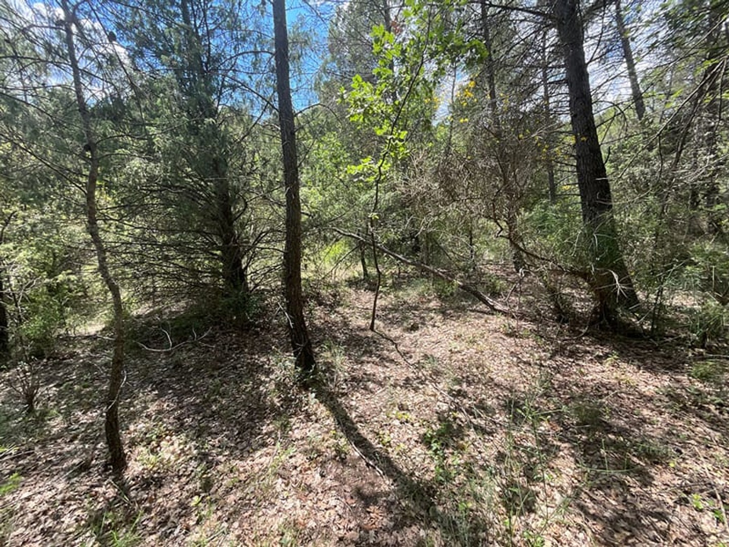 Terrain à vendre - 3672m2 - Callas (83830)