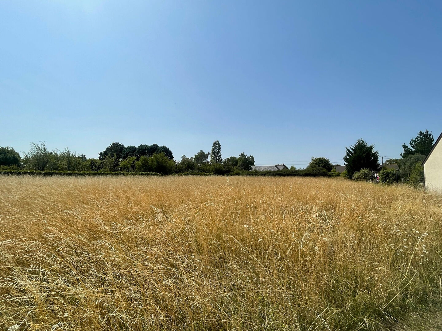 Terrain à vendre - 701m2 - Terranjou (49380)