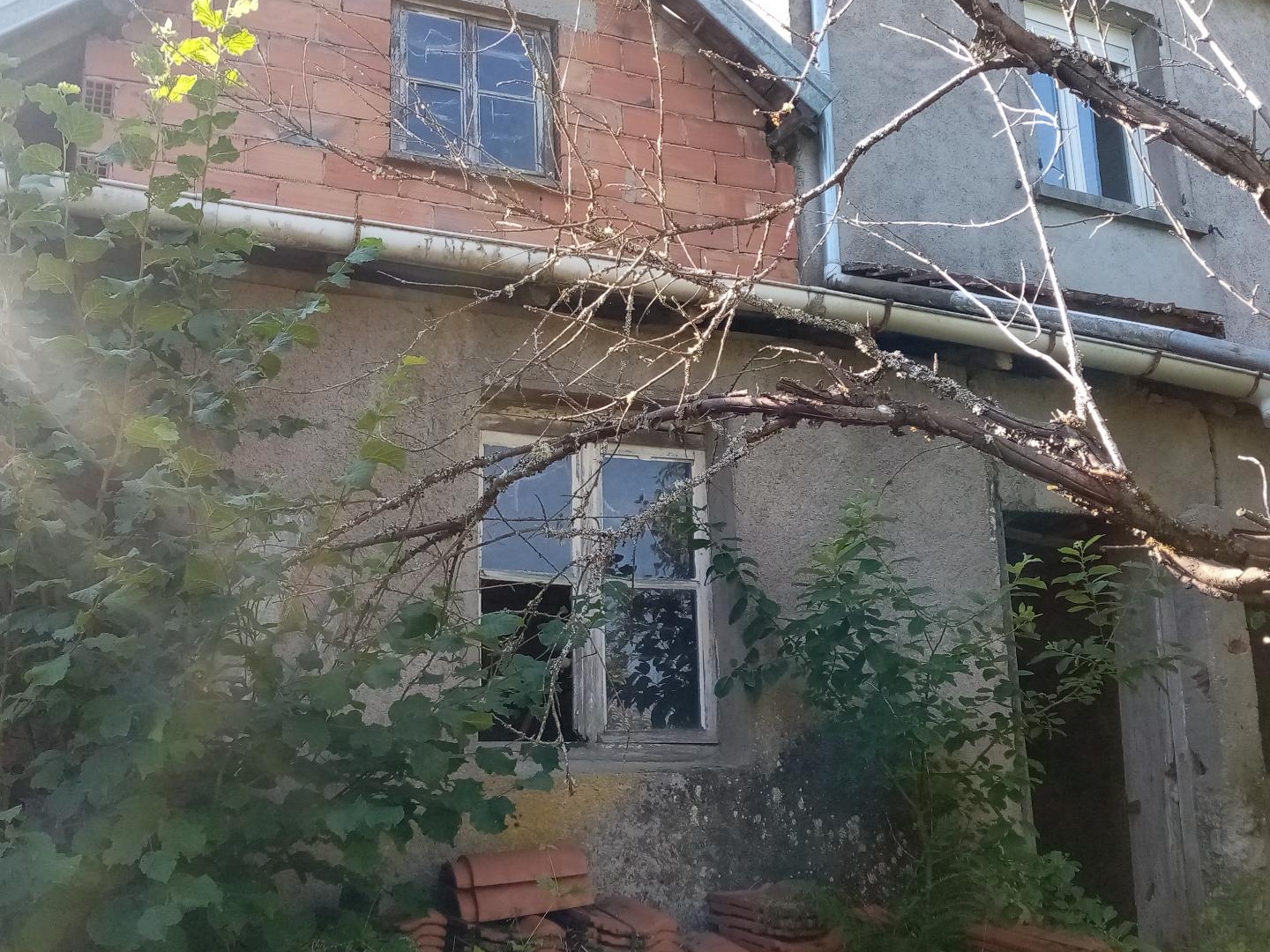 Maison à vendre - 6 pièces - 200m2 - La Vôge-Les-Bains (88240)