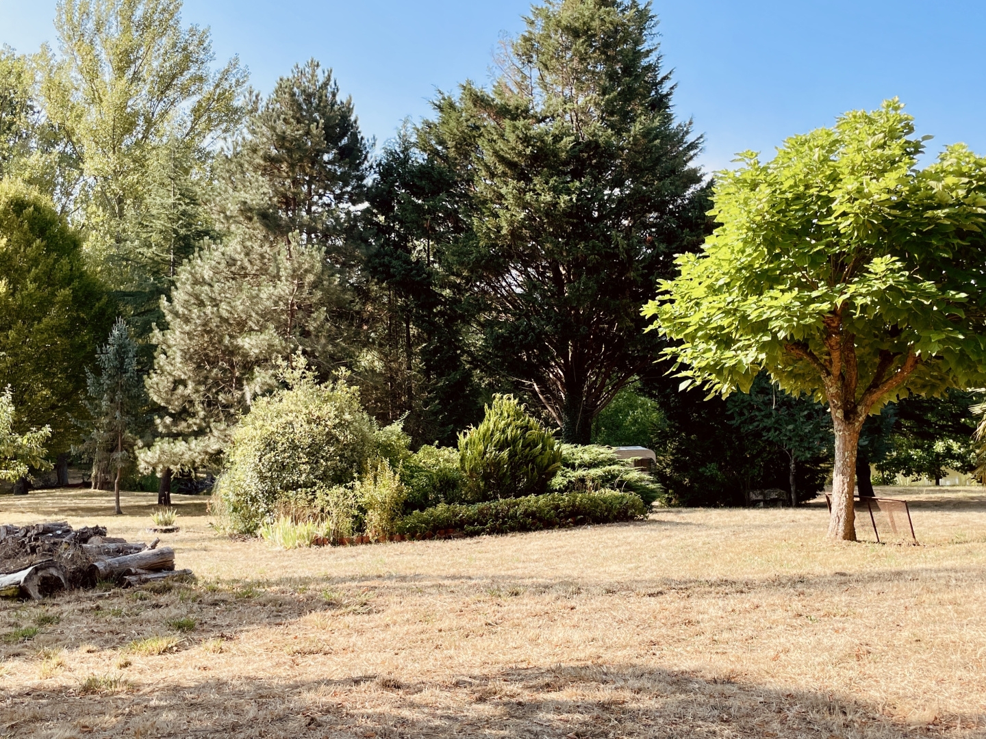 Terrain à vendre - 24485m2 - Lessac (16500)