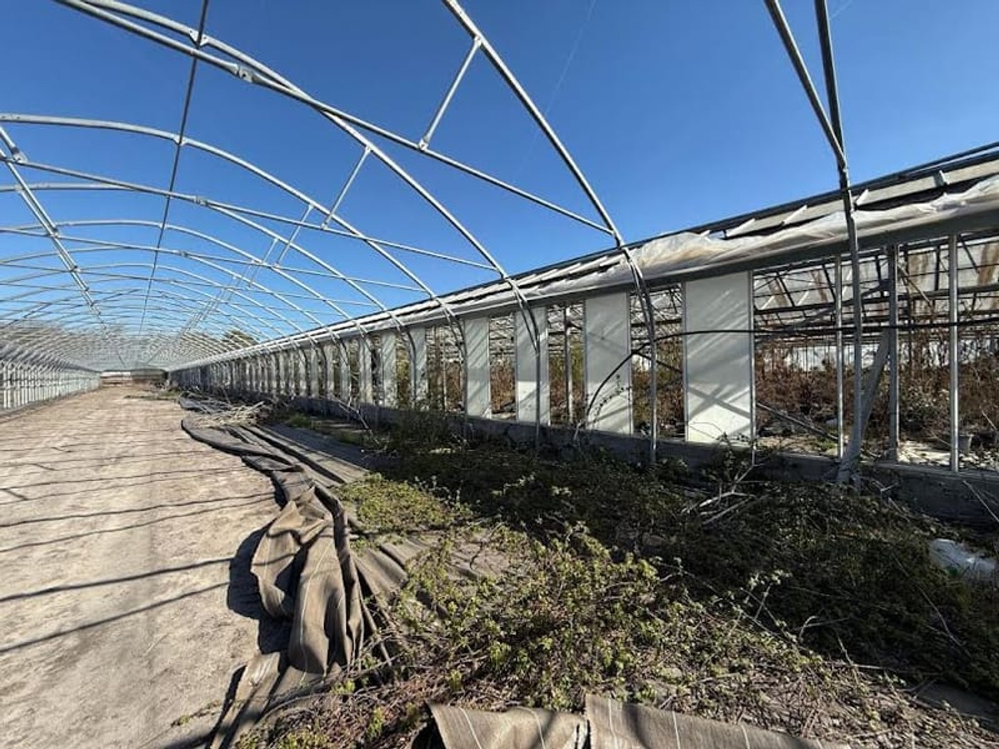 Parking / garage / box à vendre - Saint-Pardon-De-C... (33210)