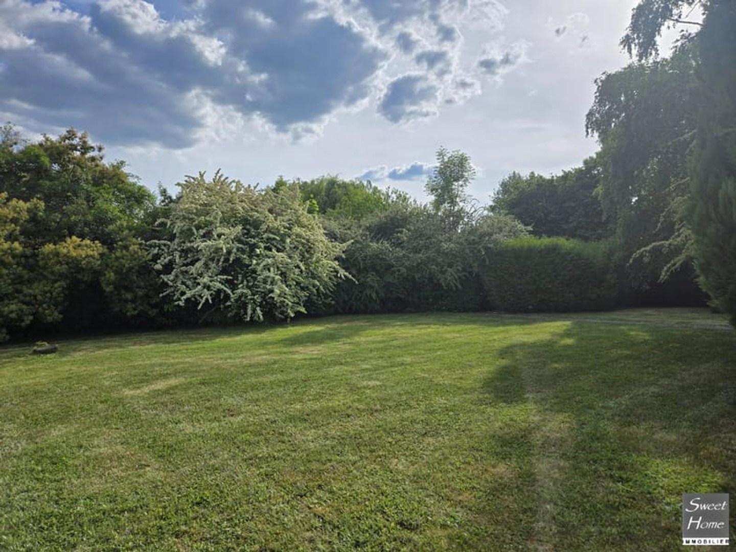 Terrain 540 m²