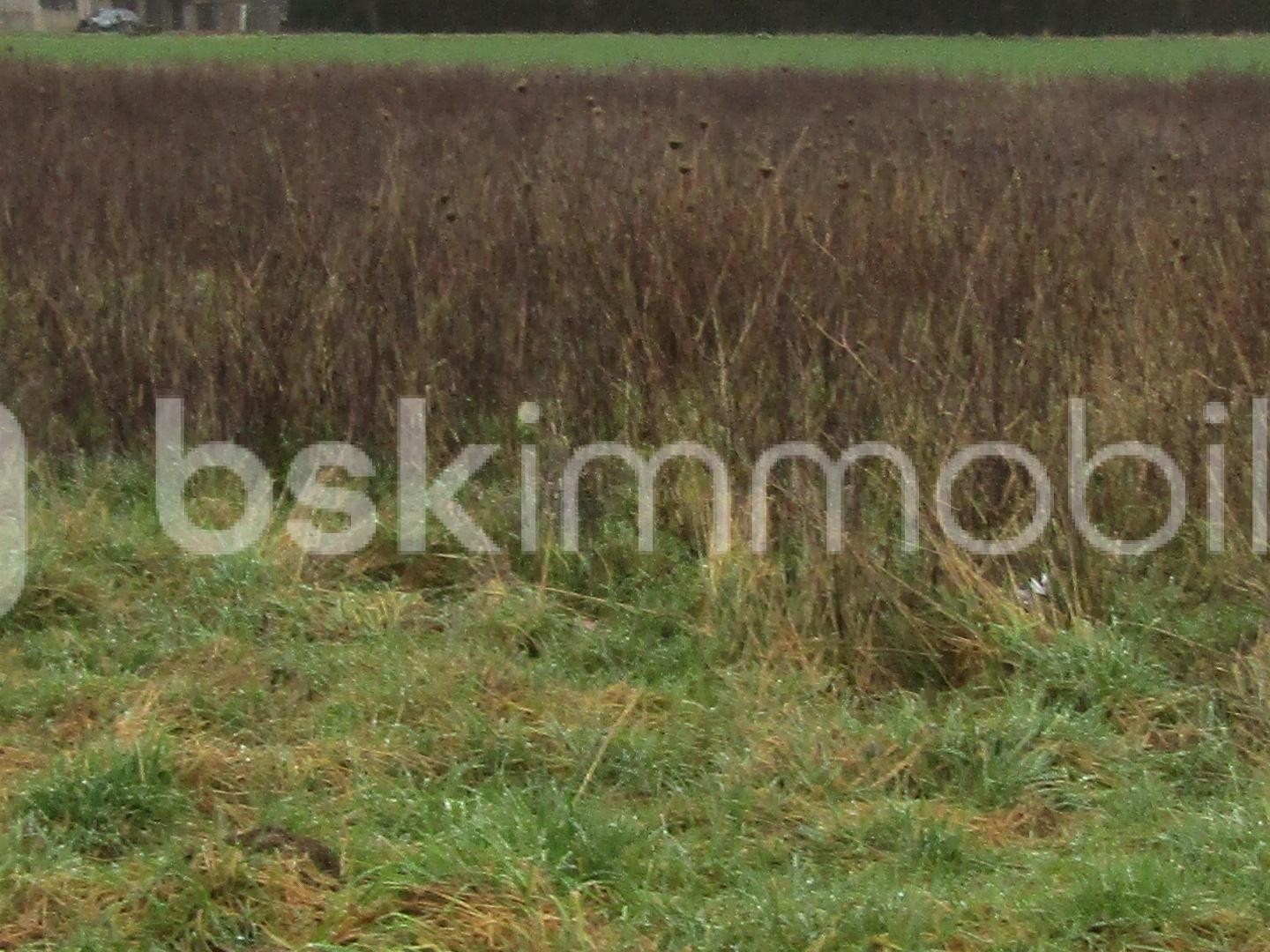 Terrain 1050 m²