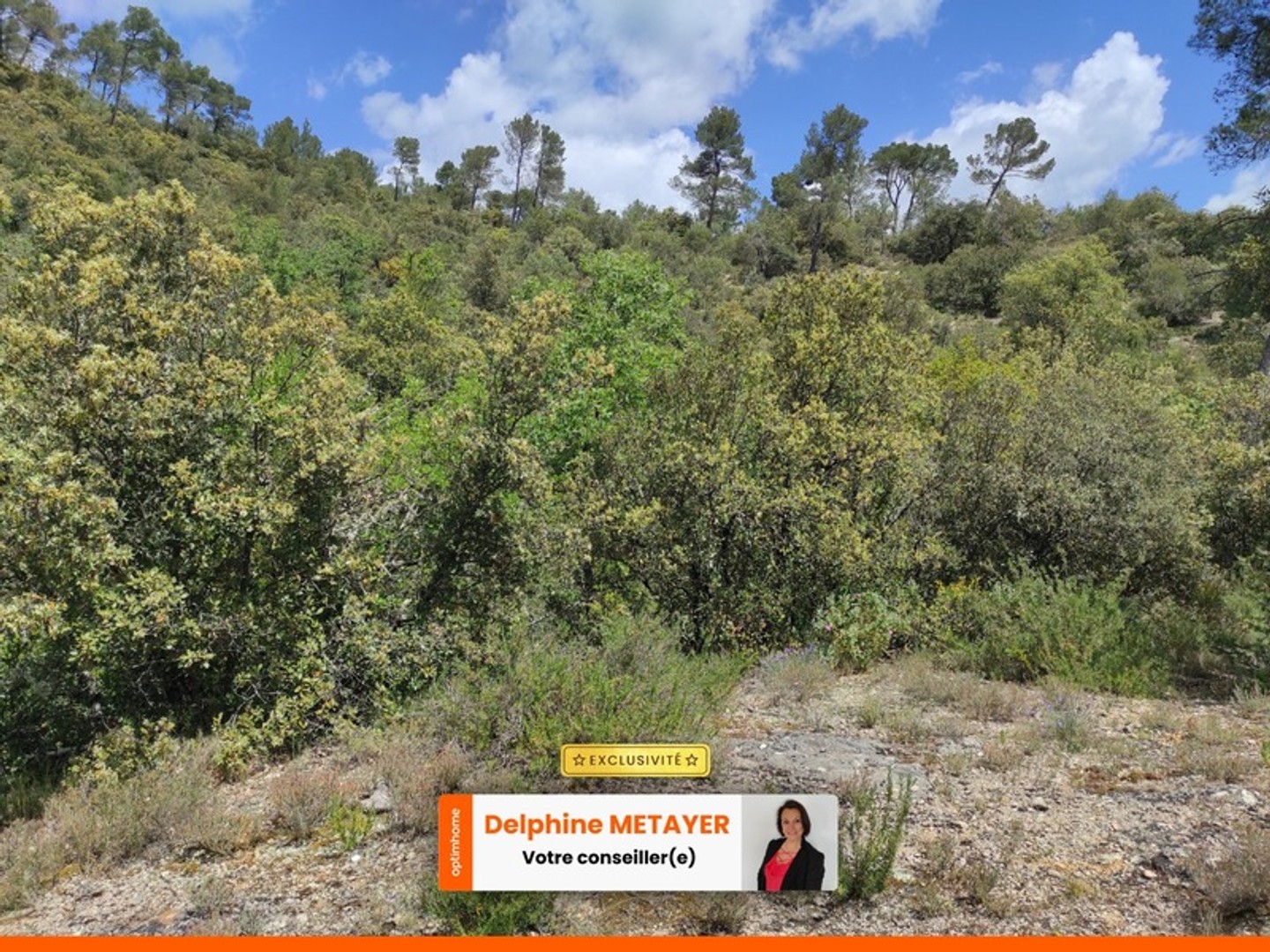 🌲 Terrain naturel de 2 hectares - Varages (83), Provence Verte 🌲