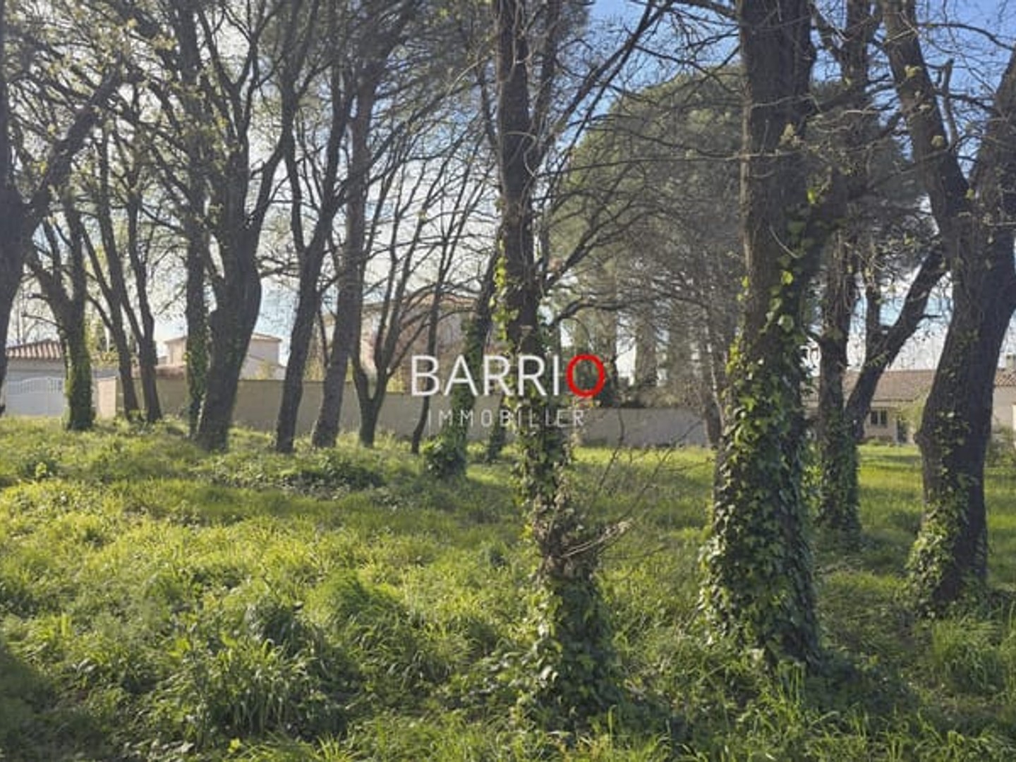 Terrain à vendre - Saint-Génis-Des-F... (66740)