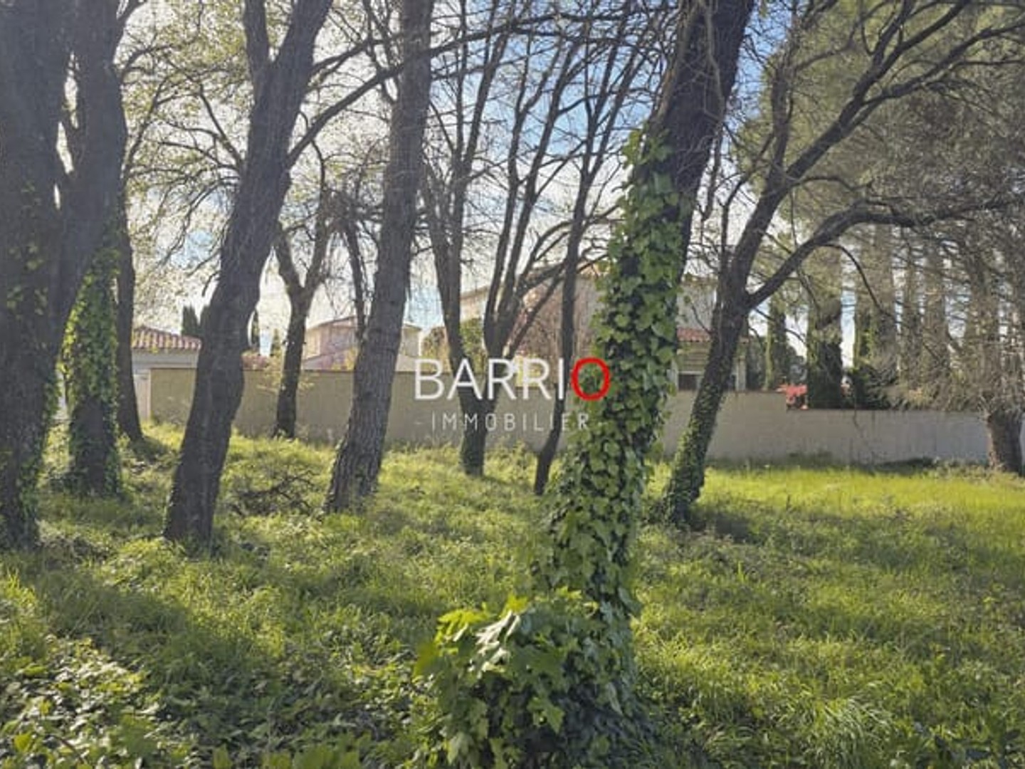 Terrain à vendre - Saint-Génis-Des-F... (66740)