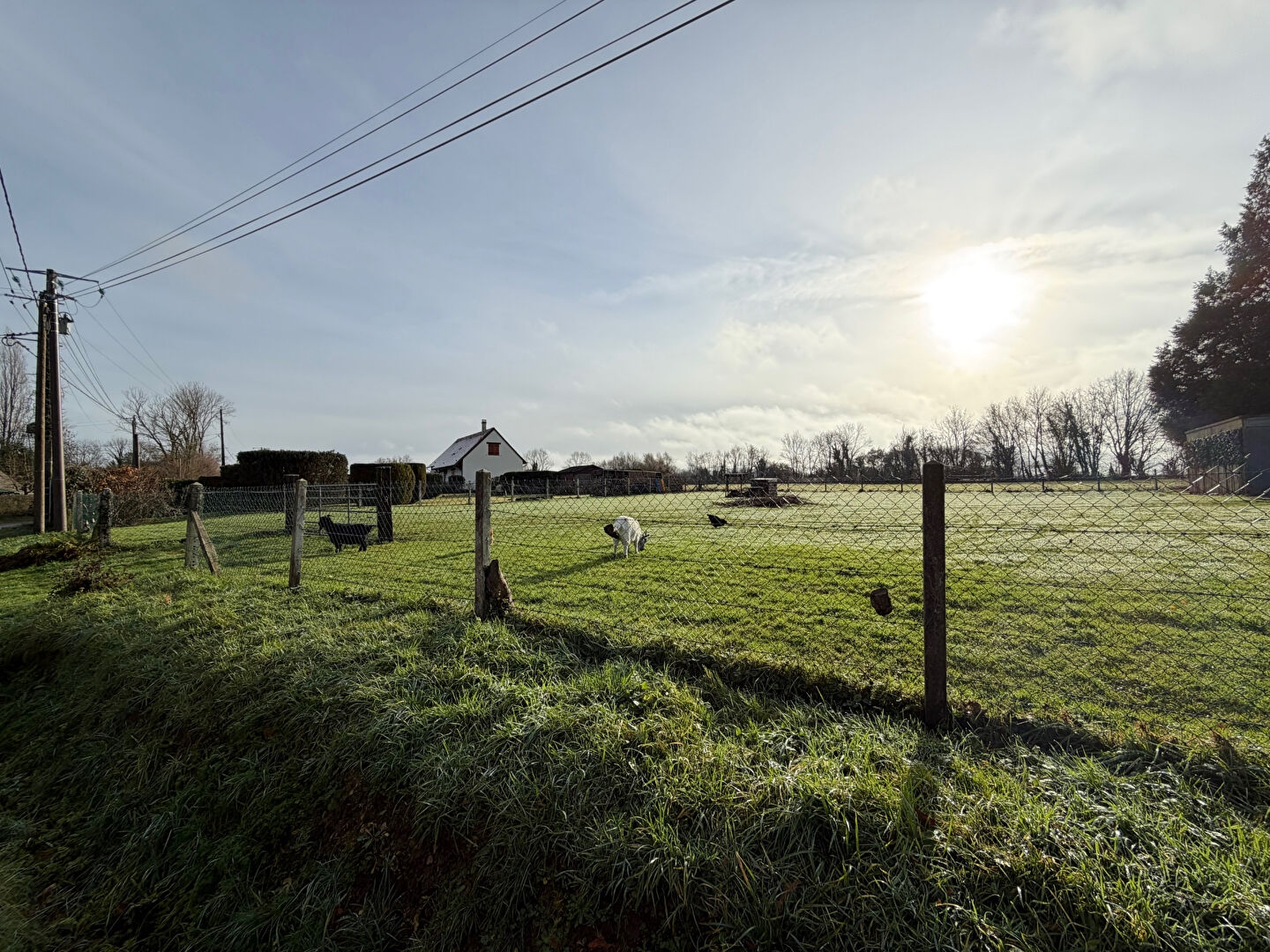 Terrain 1950 m²