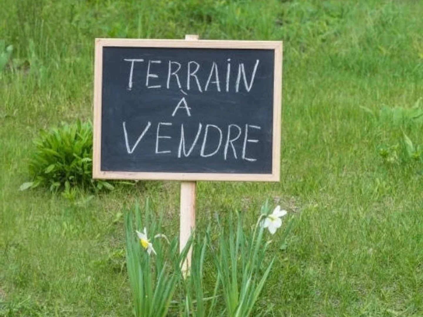 Terrain 600 m²