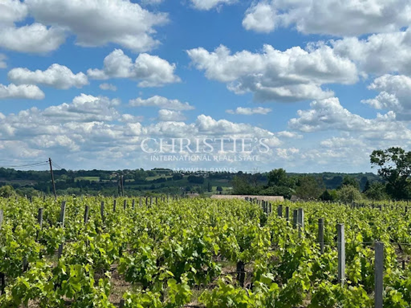Terrain à vendre - 230m2 - Cars (33390)