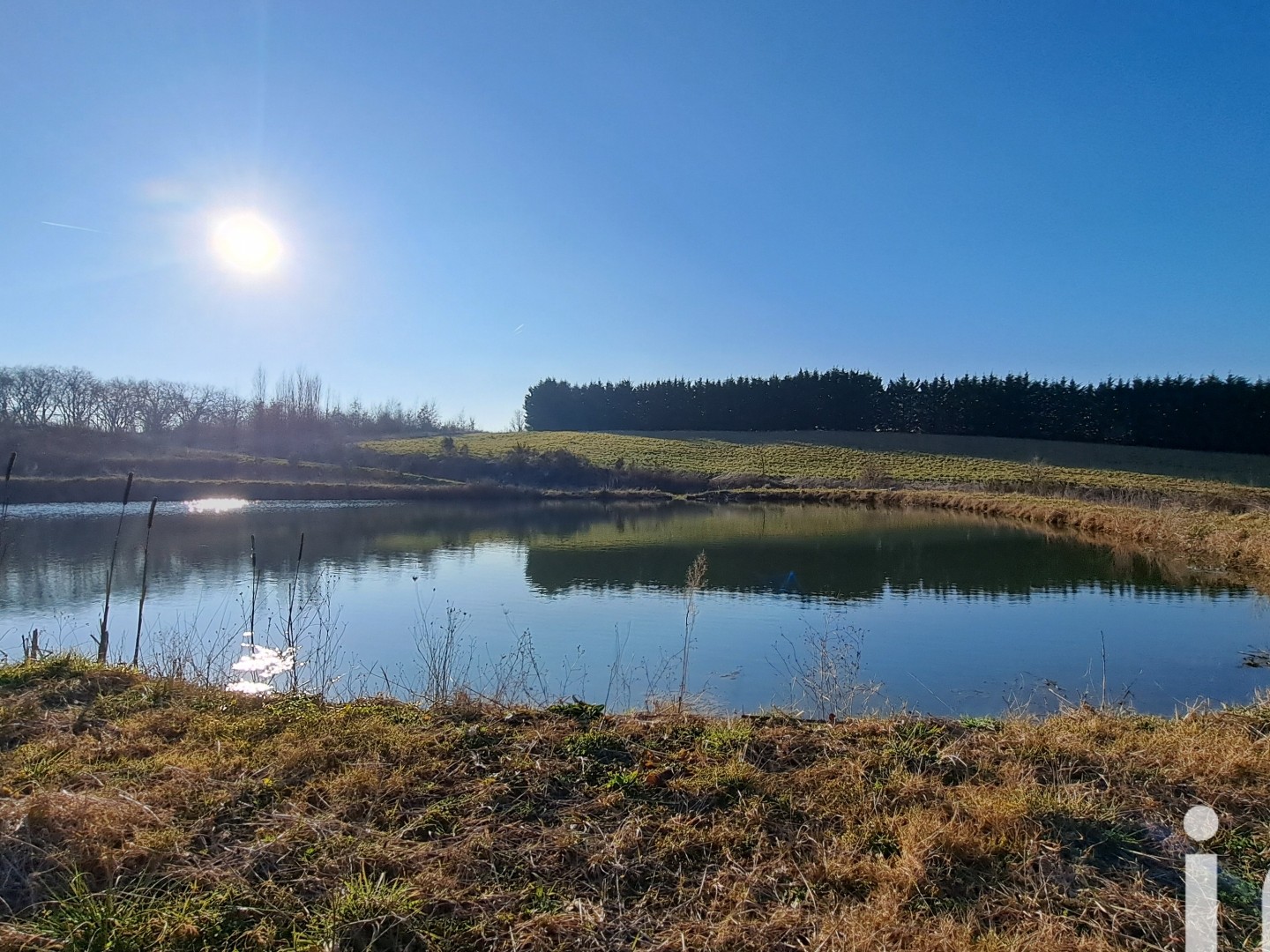 Terrain 41402 m²