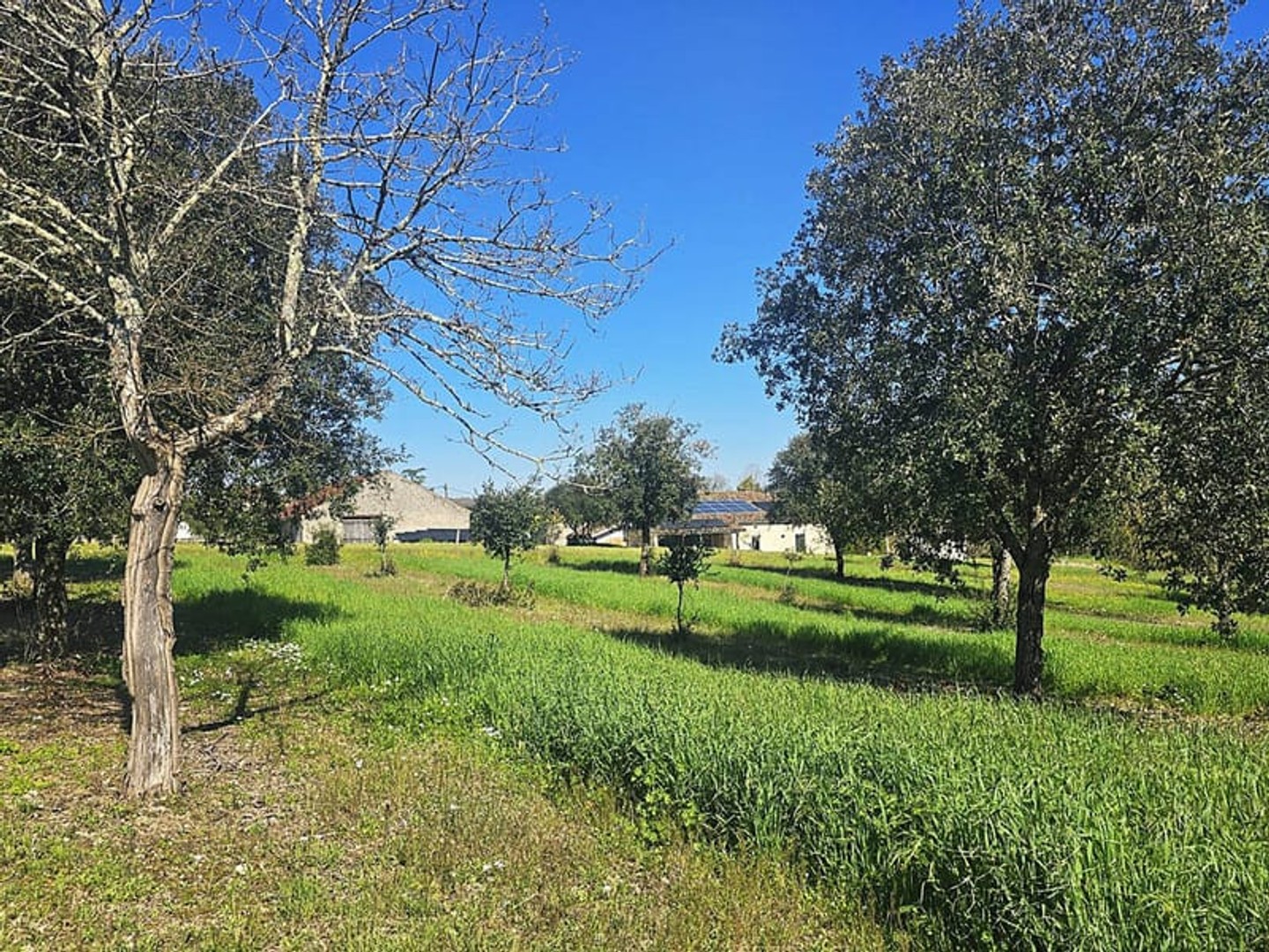Bel ensemble en pierre - maison plain pied, studio indépendant, grange et Piscine sur 5000m2