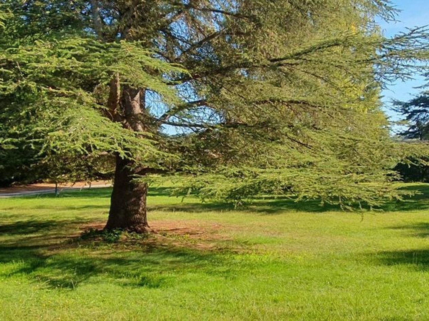 Villa 5 pièces 185 m²