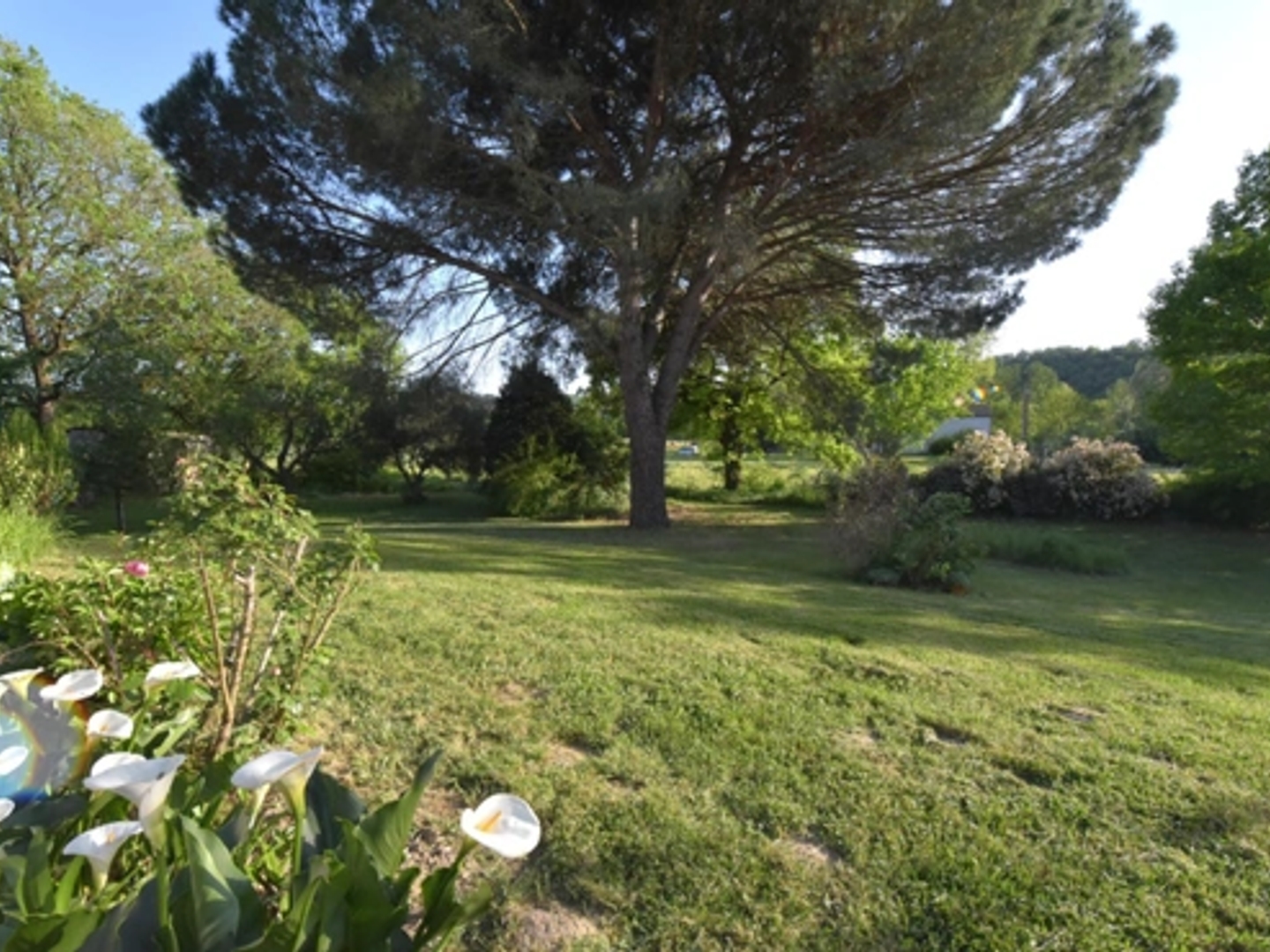 Maison à vendre - 4 pièces - 105m2 - Lavaur (81500)