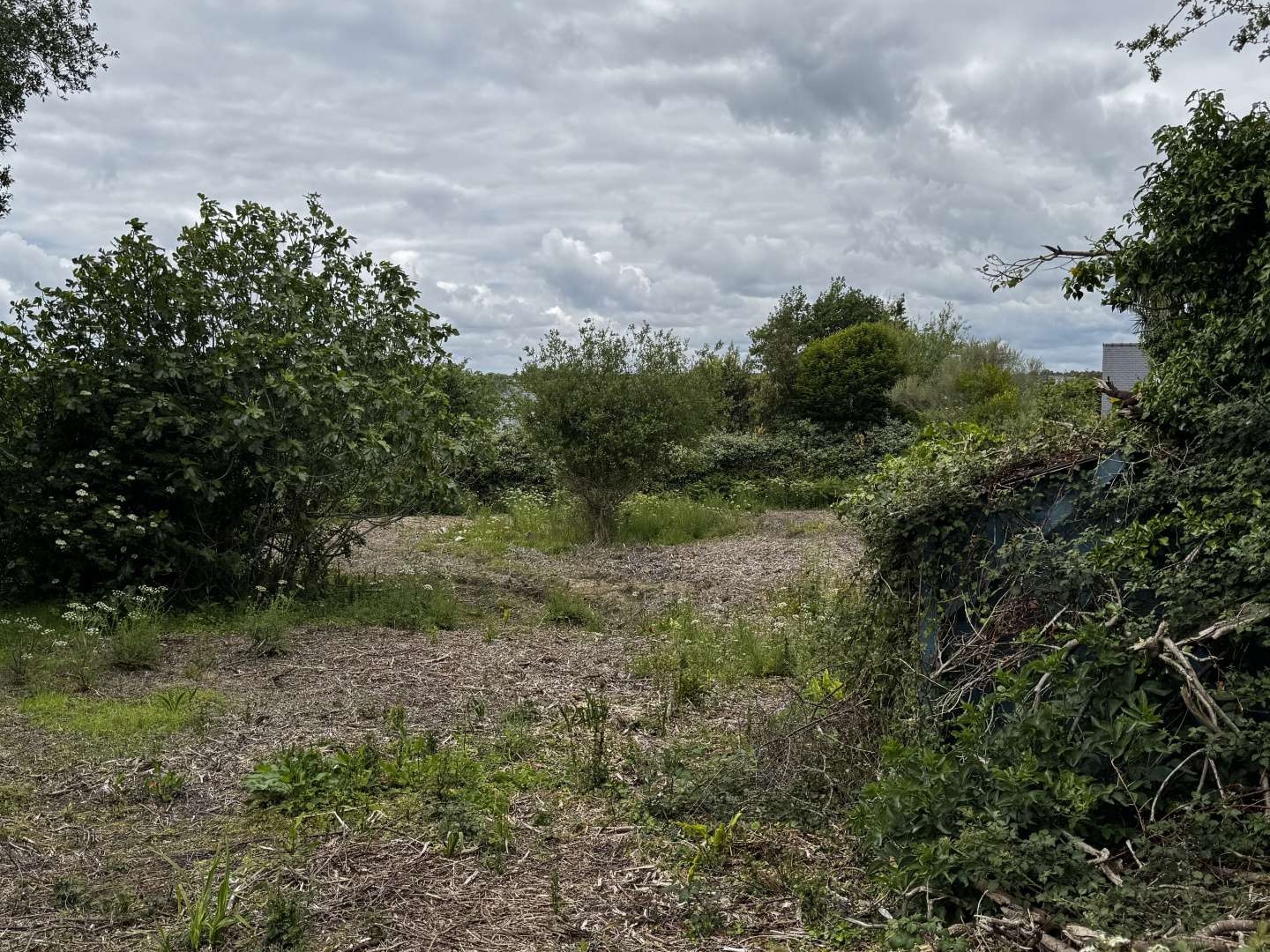 Terrain 1284 m²