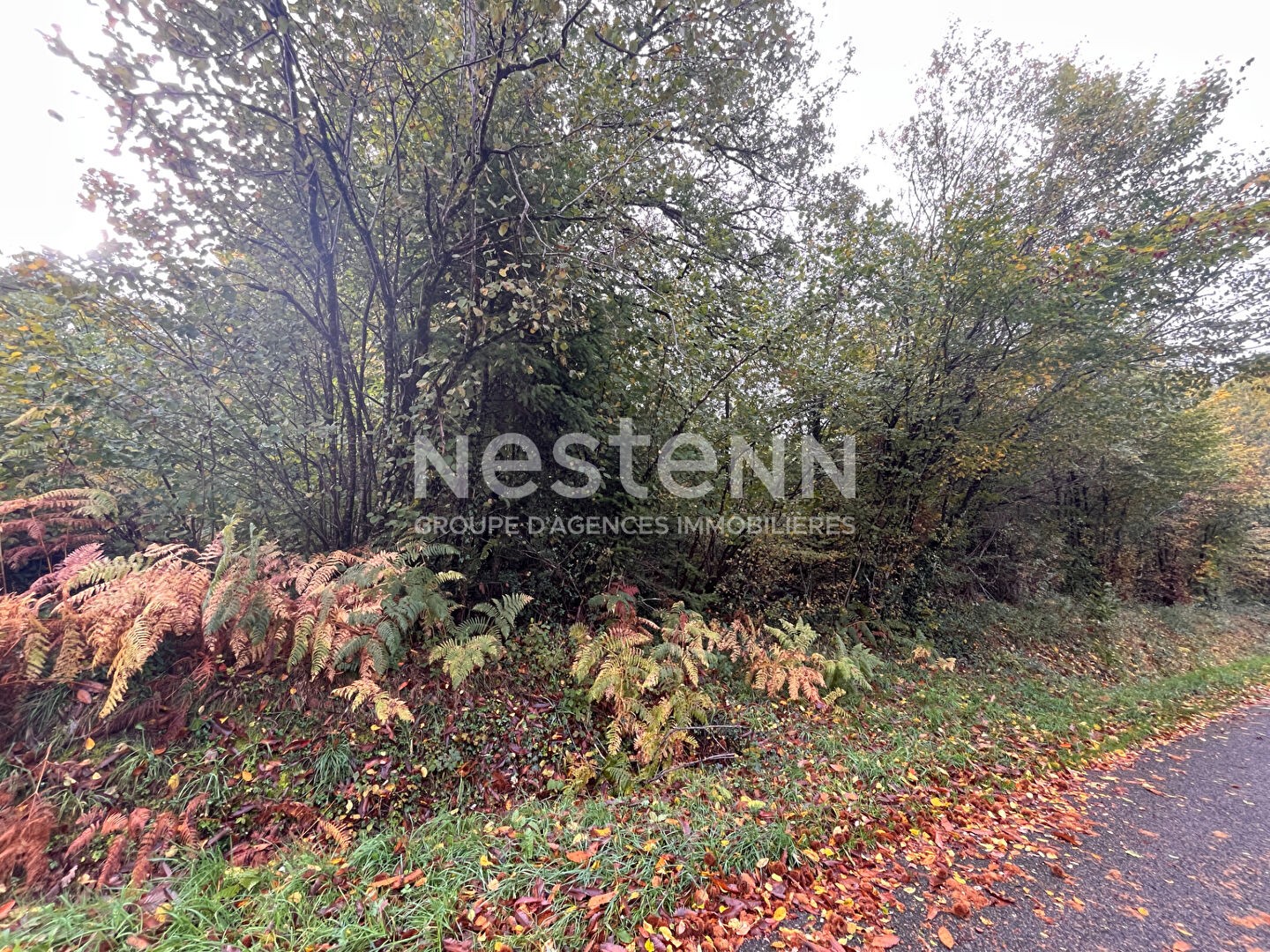 A vendre SEILHAC TERRAIN DE LOISIRS