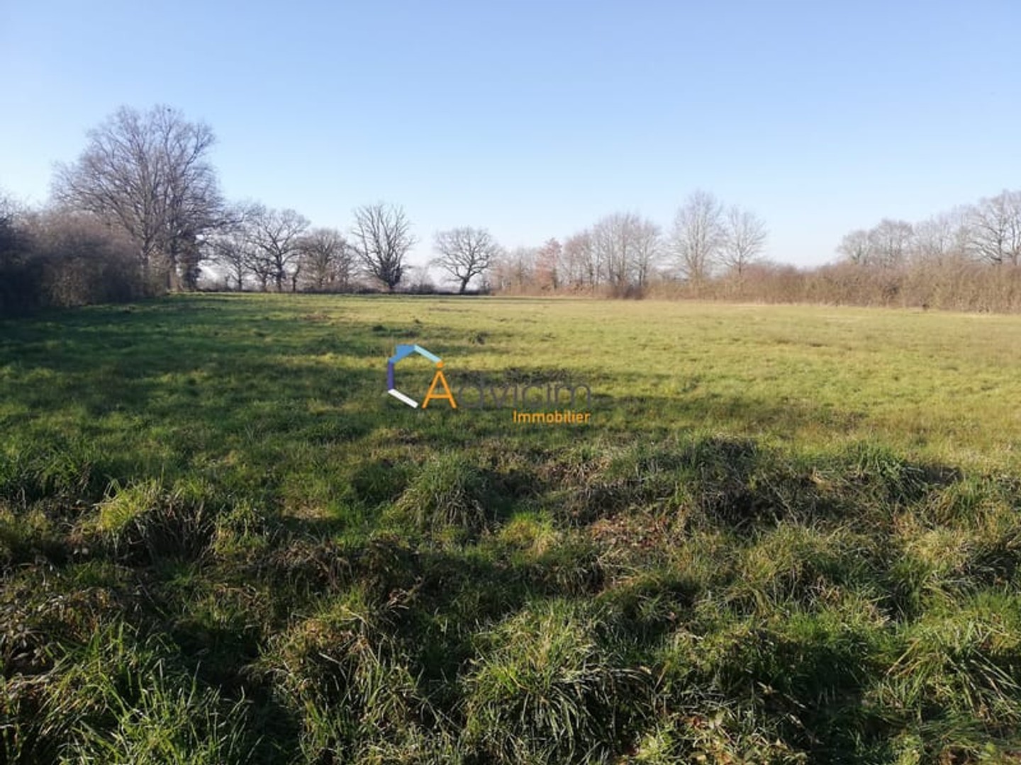 Terrain à vendre - Chaillac (36310)
