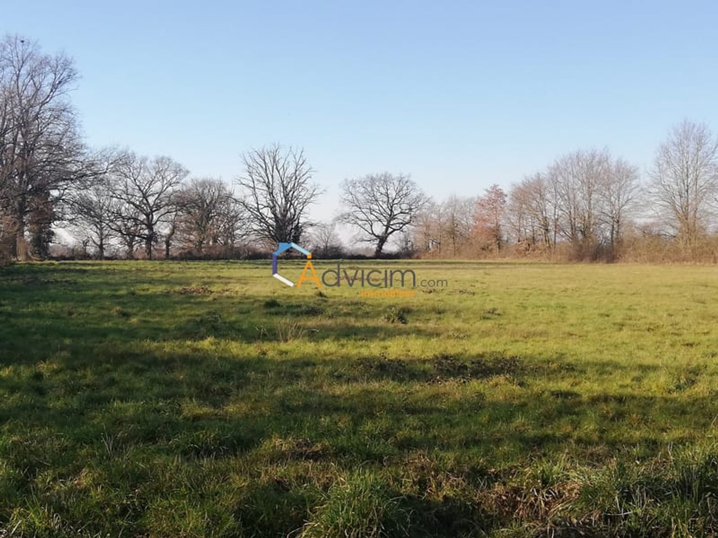 Terrain à vendre - Chaillac (36310)