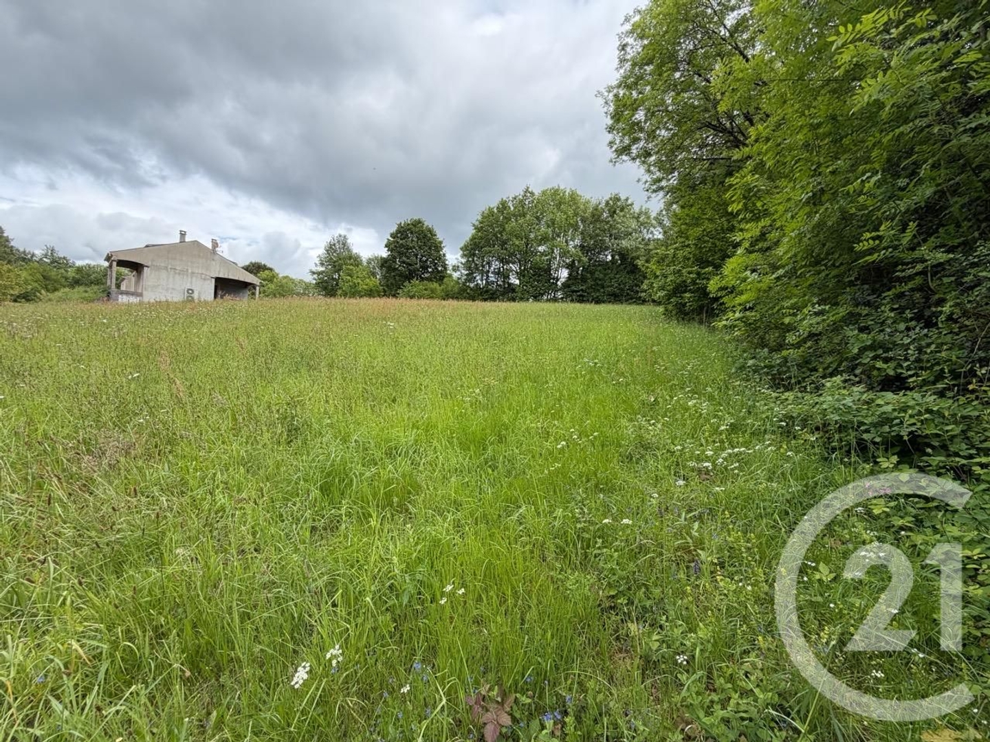 Terrain 3968 m²