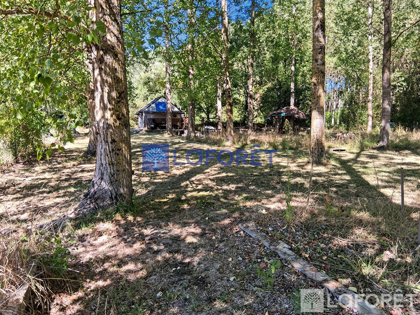 Terrain à vendre - 4456m2 - Saché (37190)