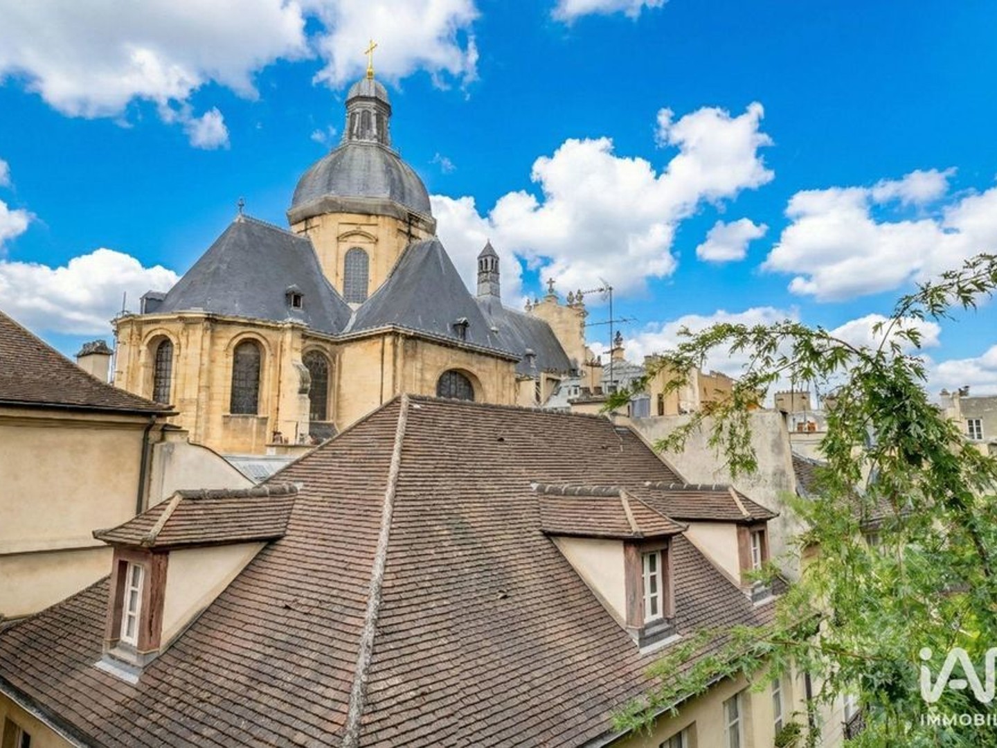 Vente Hôtel particulier 25 pièces