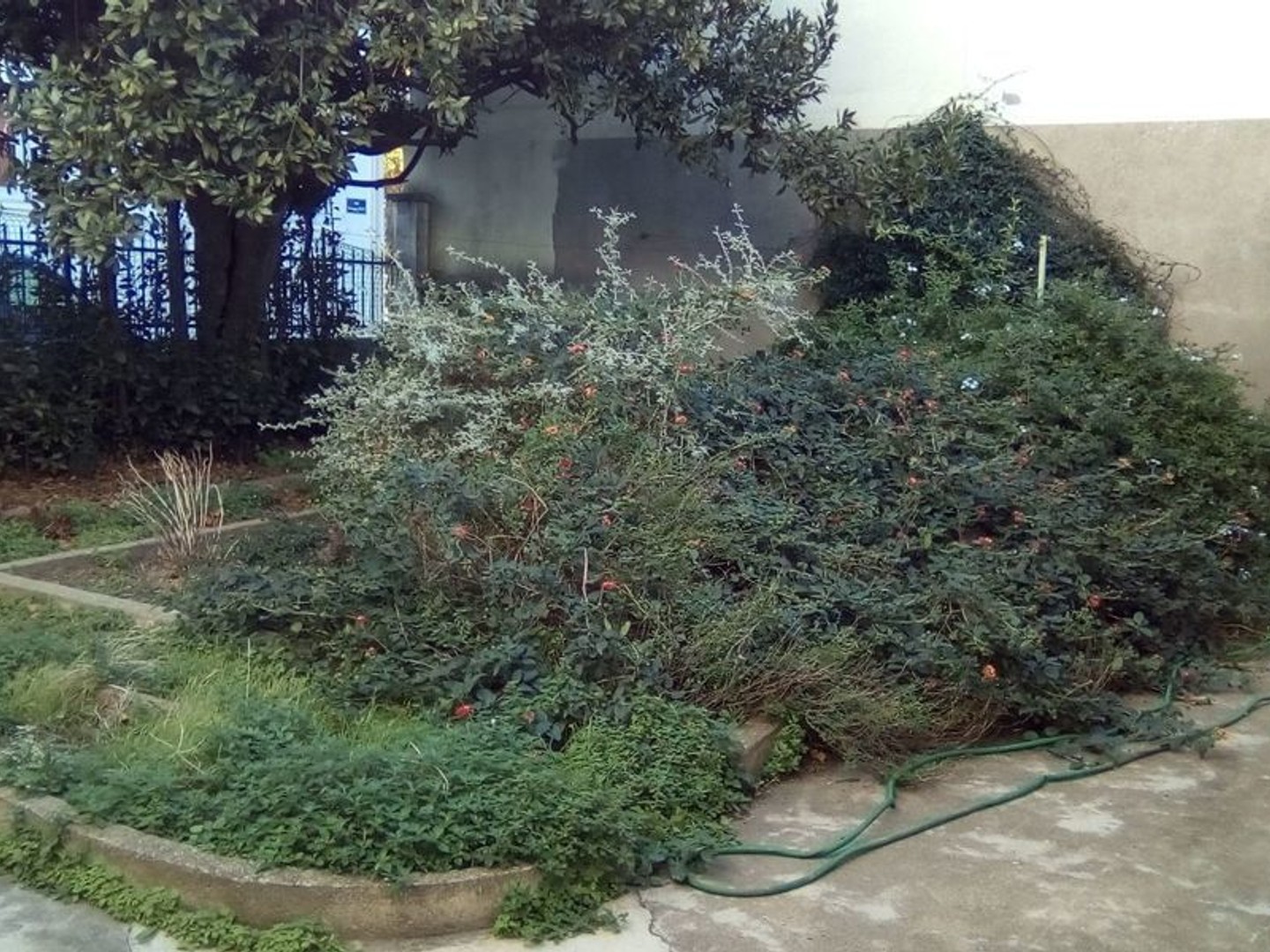 BEZIERS Secteur champ de mars