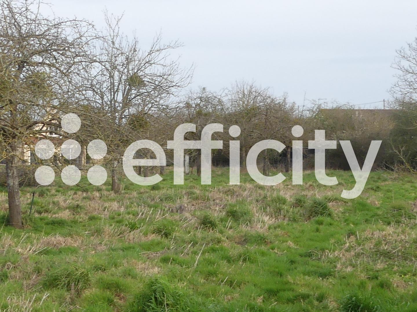 Terrain 2500 m²