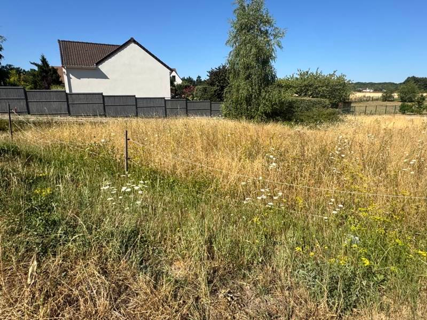 Terrain 1000 m²