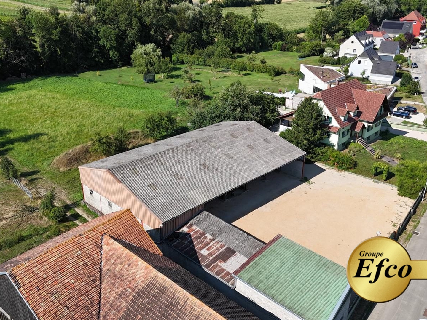 Local 1598 m²