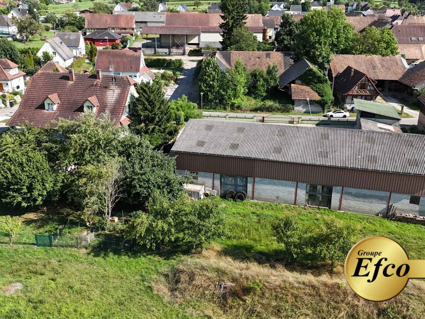 Locaux à vendre - 1598m2 - Wahlbach (68130)