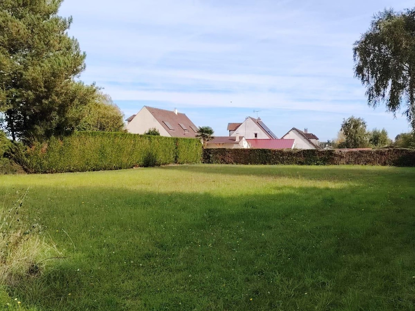 Terrain 1250 m²