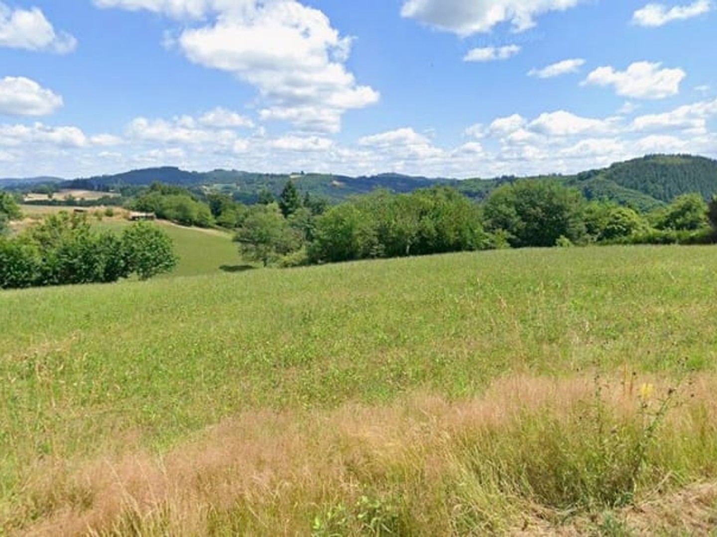 Terrain