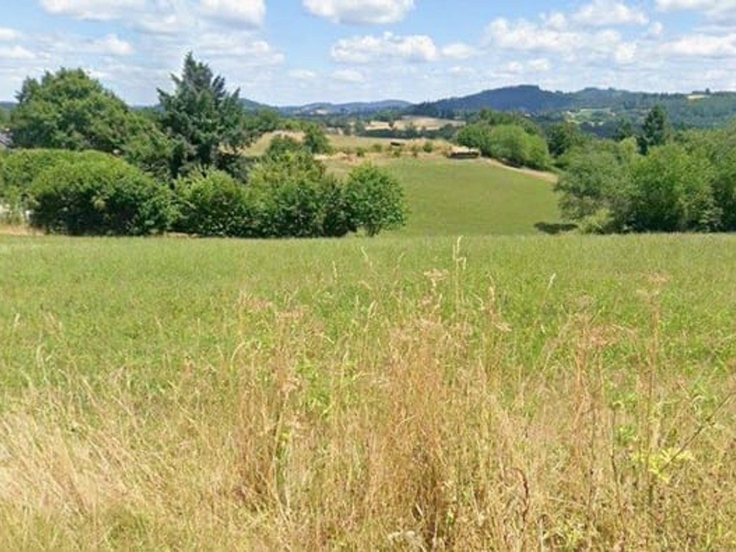 Terrain à vendre - Eymoutiers (87120)