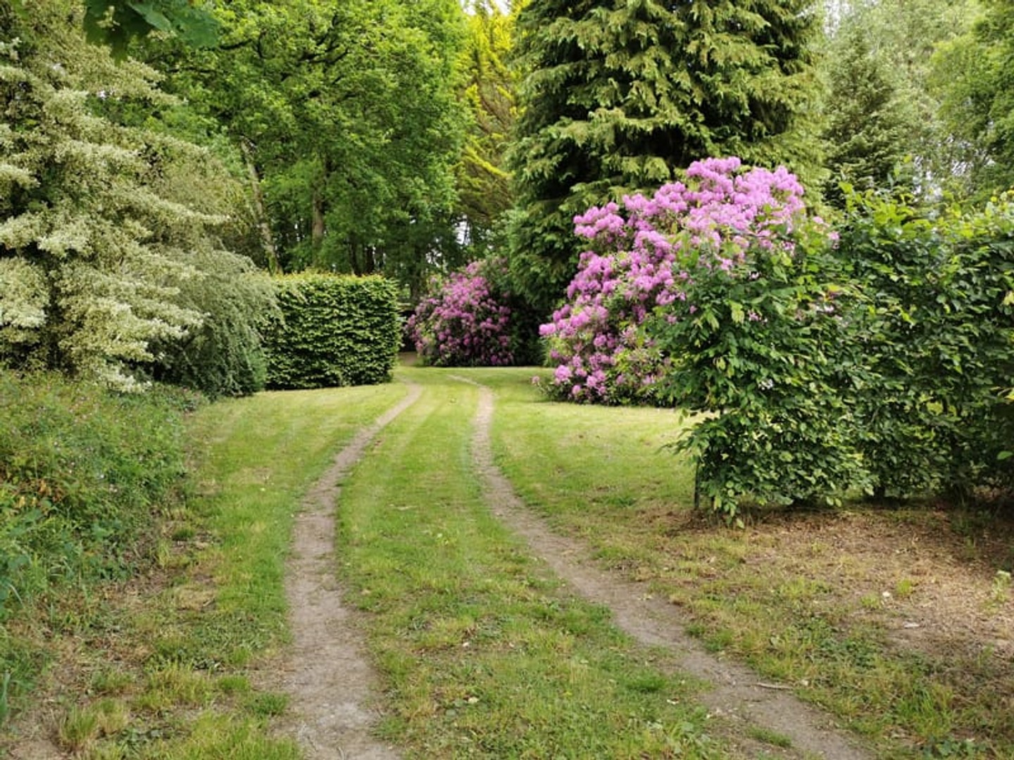 Terrain 1600 m²