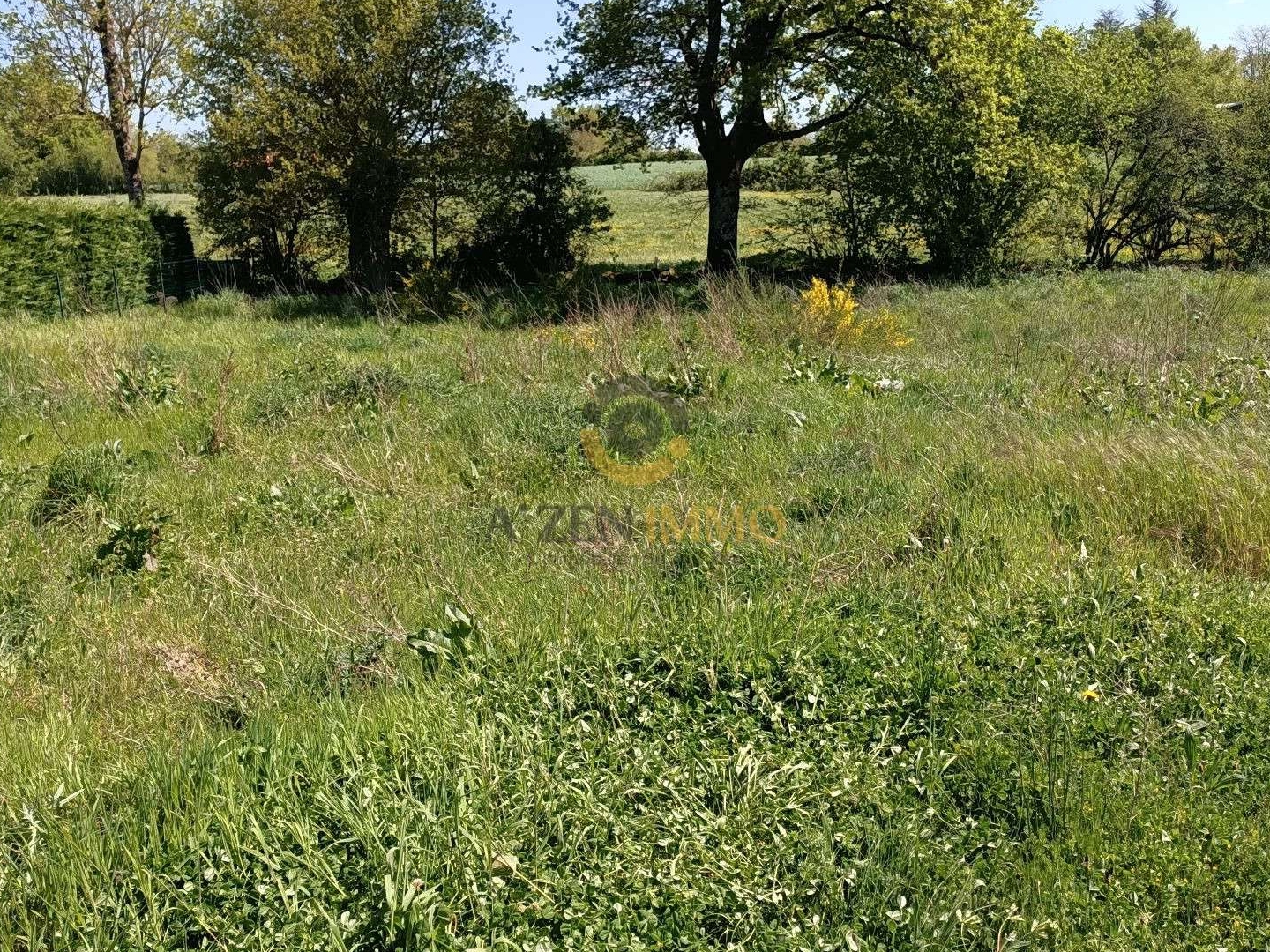 Terrain 902 m²