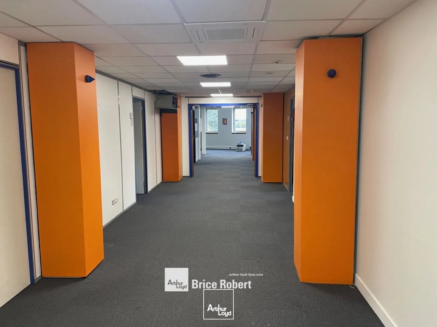 Bureaux à vendre - 379m2 - Lyon 5e (69005)