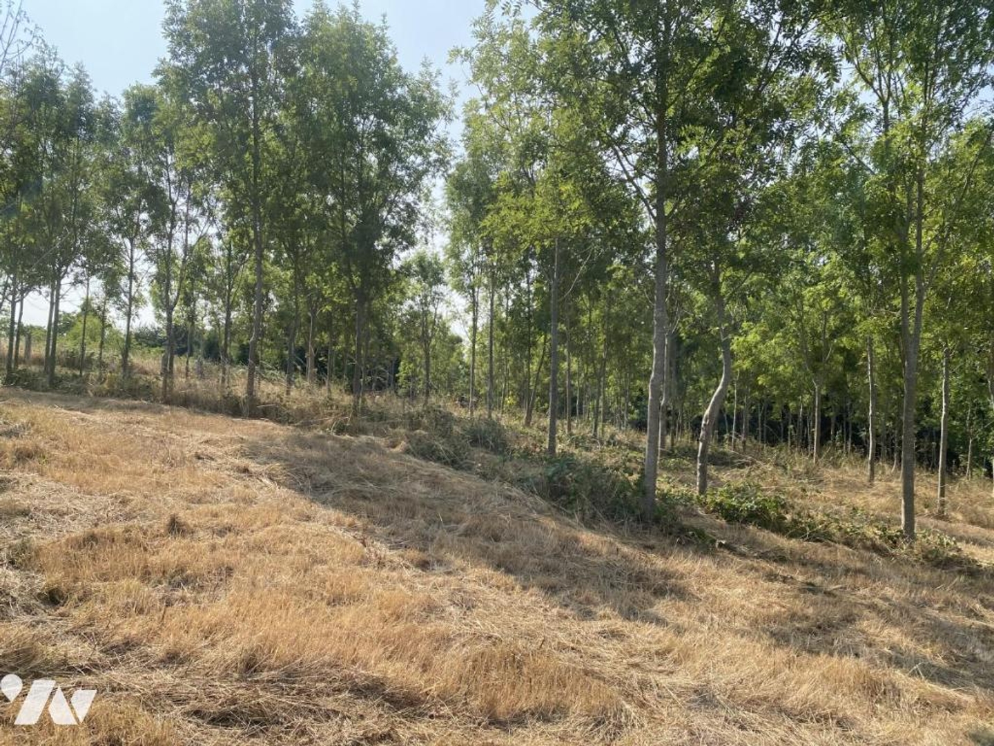 Terrain 5693 m²